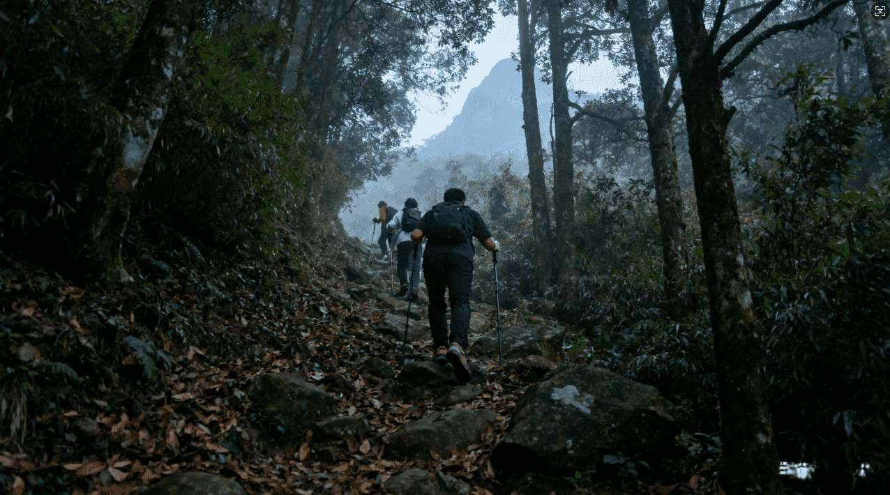 上推特用甚么加速器效果最好及使用技巧